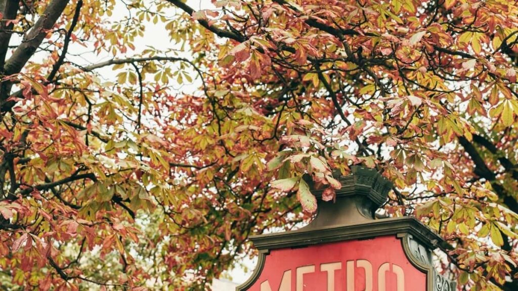 How TikTok Influencers Can Score Belgium Brand Deals in 2025
