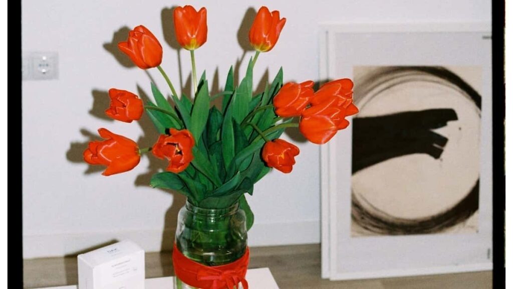 How Pinterest Influencers Can Land China Brand Deals in Canada 2025