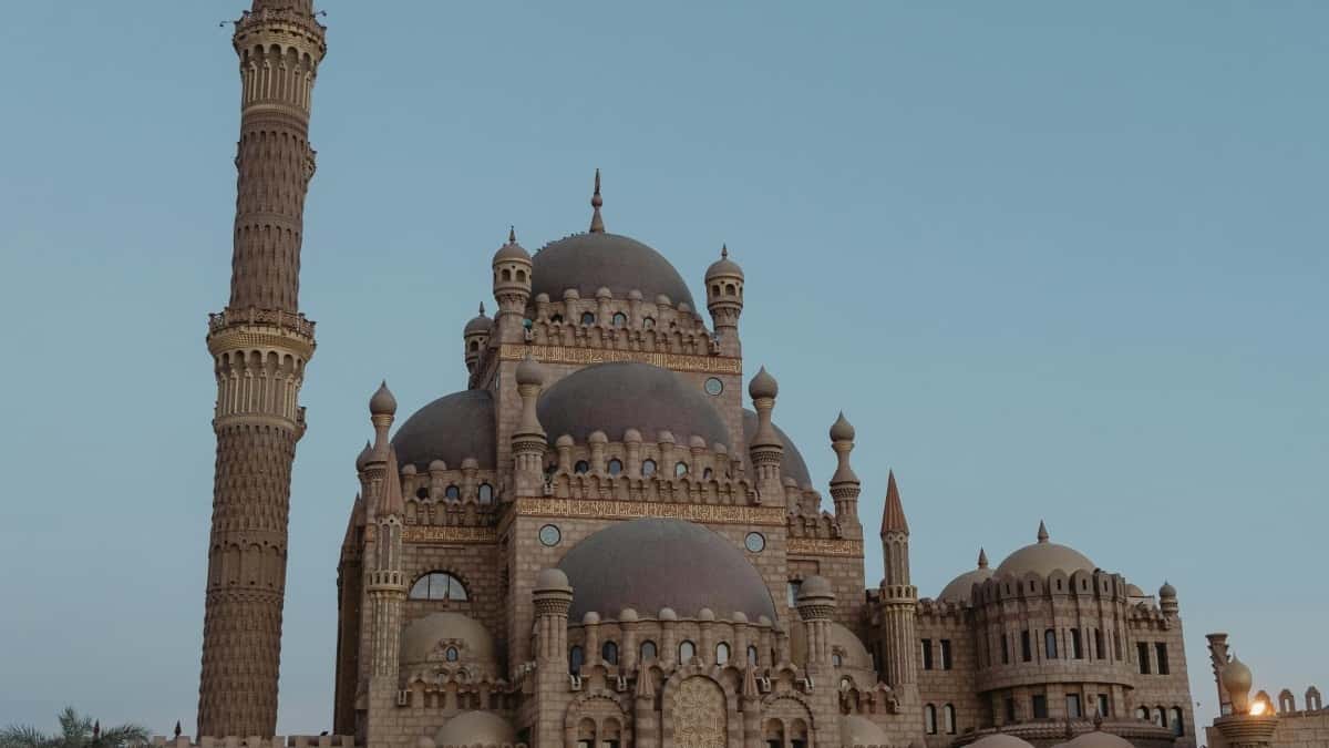Canadian Advertisers: Find Egypt Taobao Creators Fast