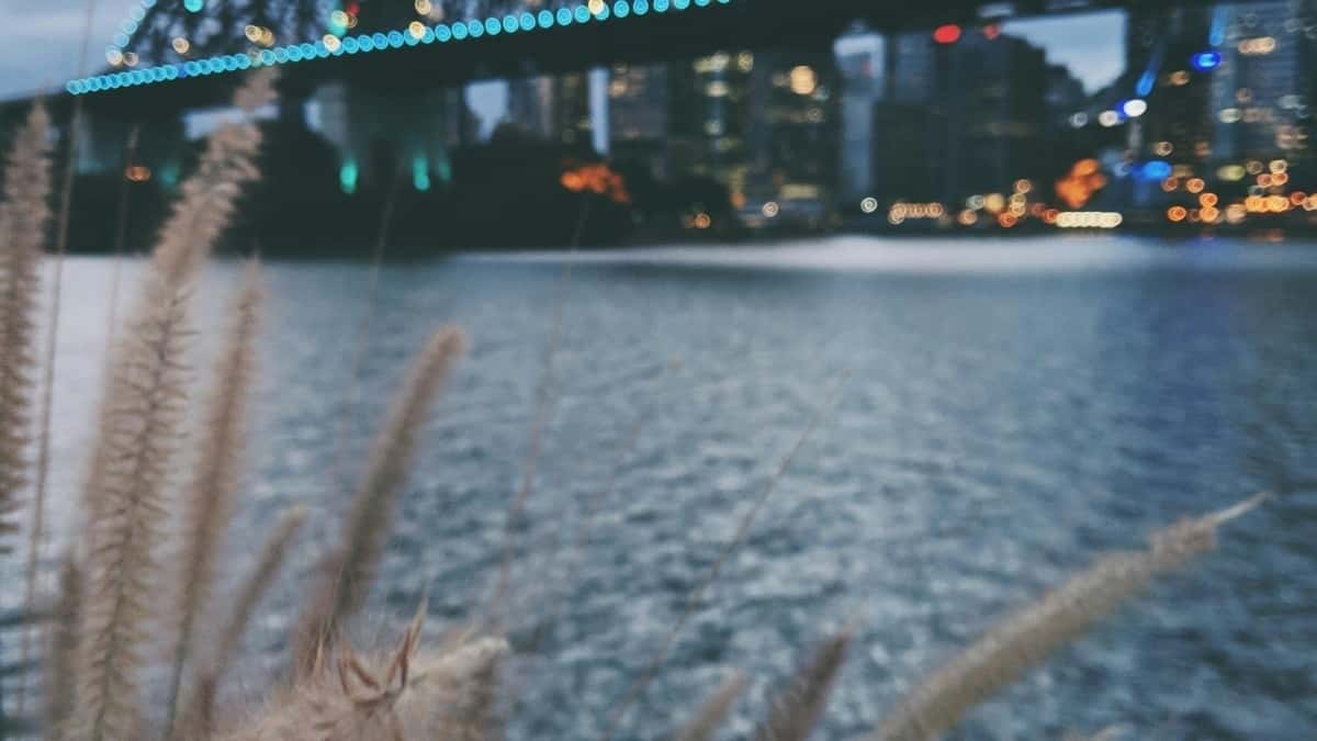 Canadian Marketers: Find Chile Threads Creators Fast