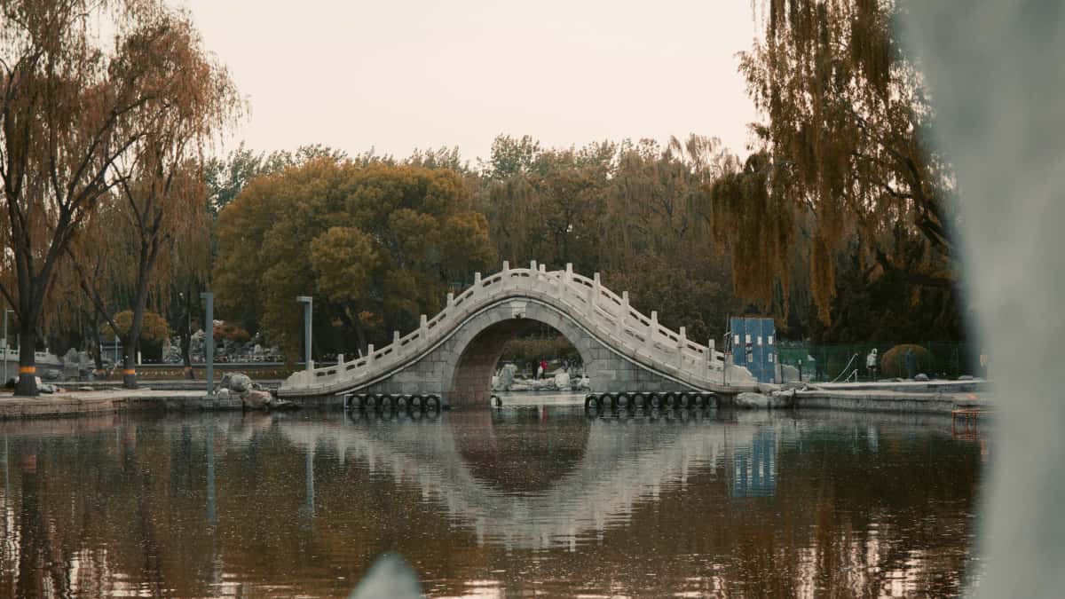 Lithuania Creators: Land Chingari UGC Gigs Fast