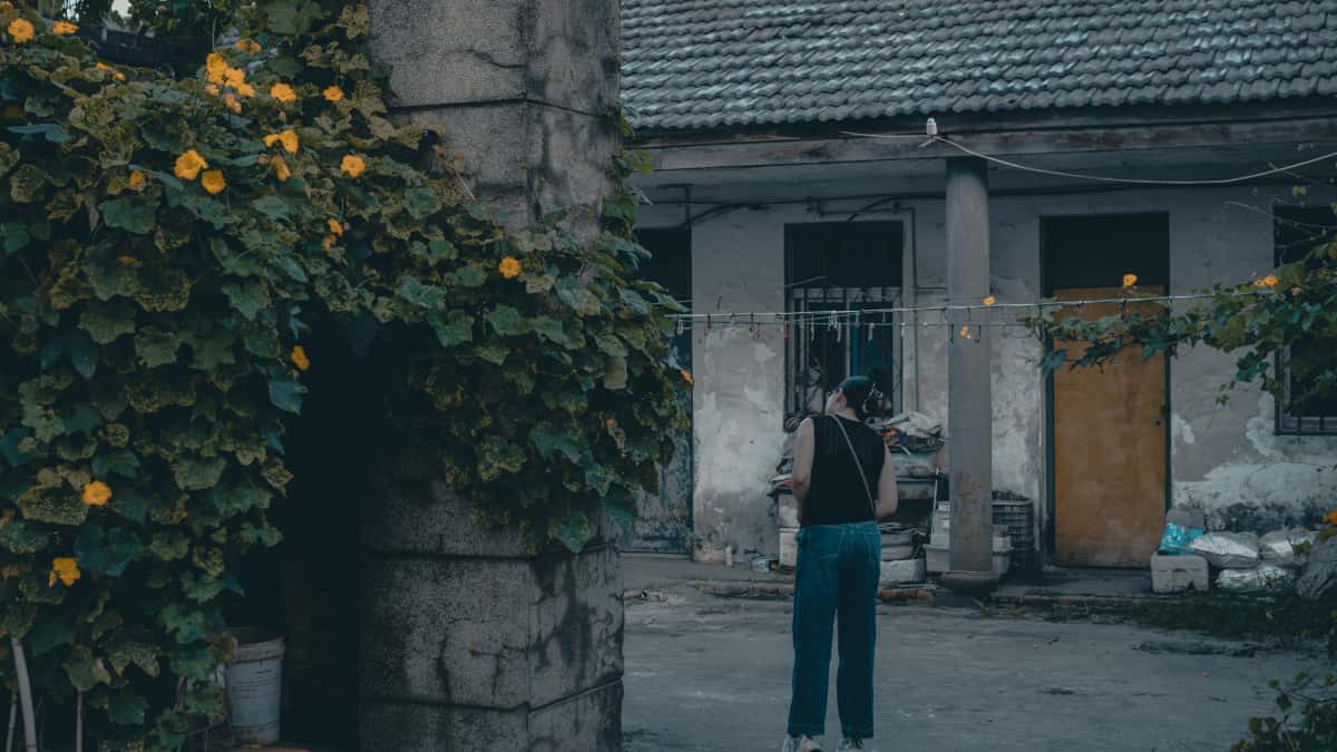 Creators: Reach Paraguay Brands on Taobao, Build Hype